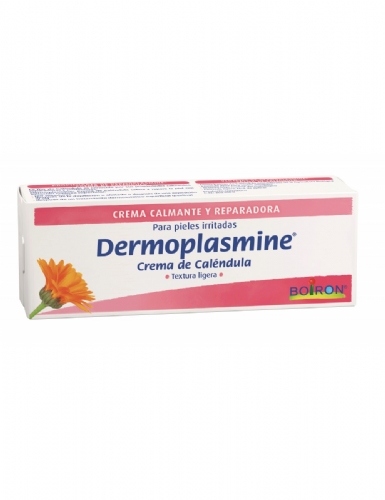 Calendula