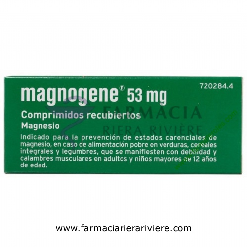 MAGNOGENE 53 mg COMPRIMIDOS RECUBIERTOS, 45 comprimidos