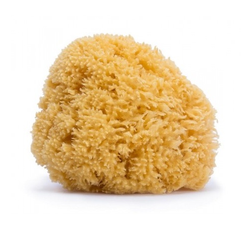 SUAVINEX ESPONJA NATURAL GRD