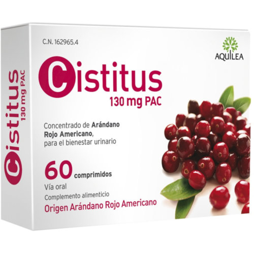 Cistitus 