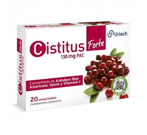 Cistitus