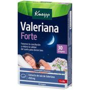 sueño