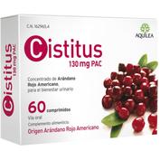 Cistitus 