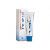 Heel Traumeel S pomada 100 g