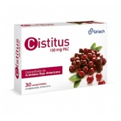 Cistitus