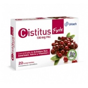 Cistitus