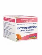 Calendula