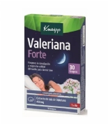 sueño