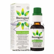 IBEROGAST GOTAS ORALES EN SOLUCION, 1 frasco de 50 ml
