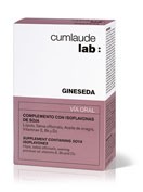 Gineseda 